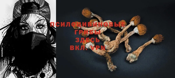 спайс Алексин