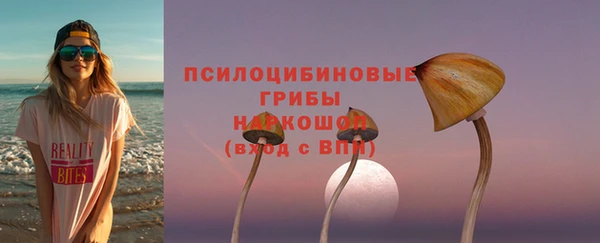 MDMA Карпинск