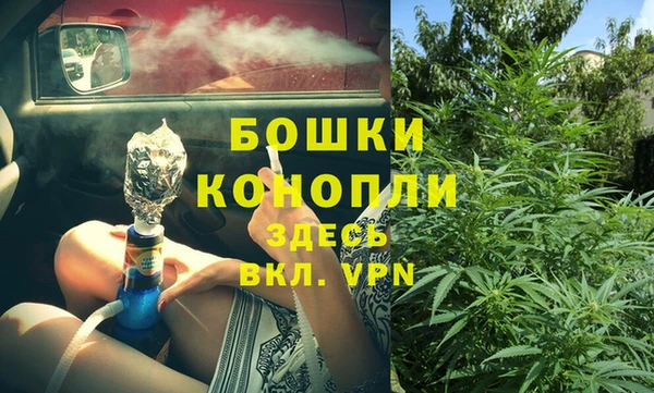 спайс Алексин