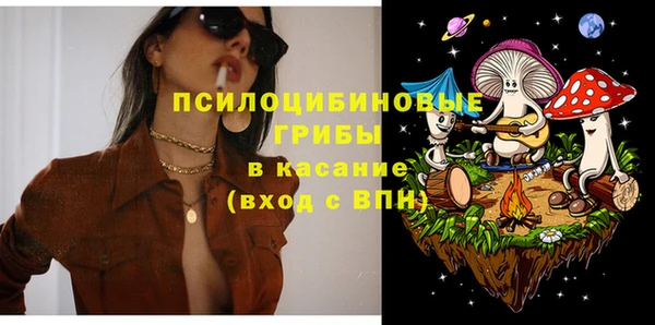 спайс Алексин