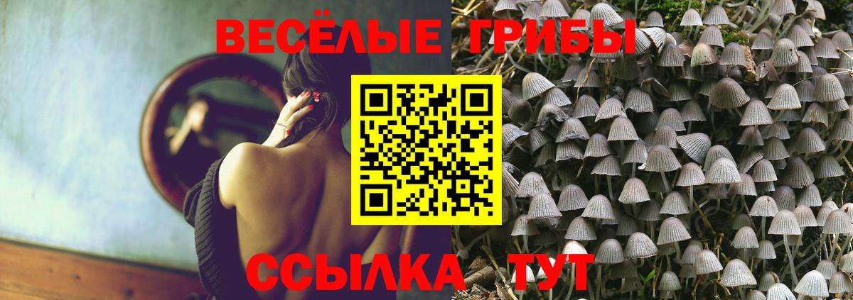 Псилоцибиновые грибы мицелий Кызыл