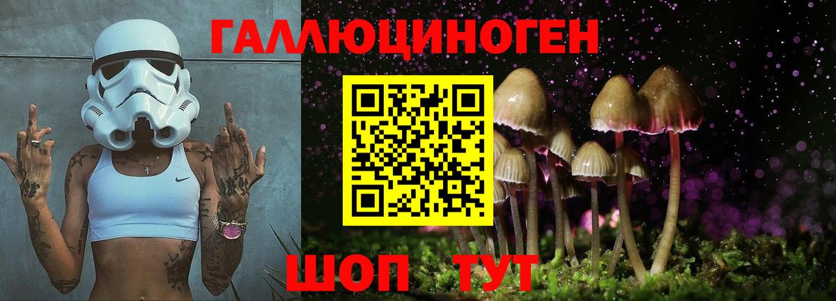 Псилоцибиновые грибы Psilocybine cubensis  Вход с VPN  Кызыл 